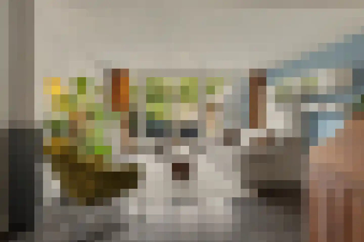 Vendelier 23 Bergeijk thumbnail 11