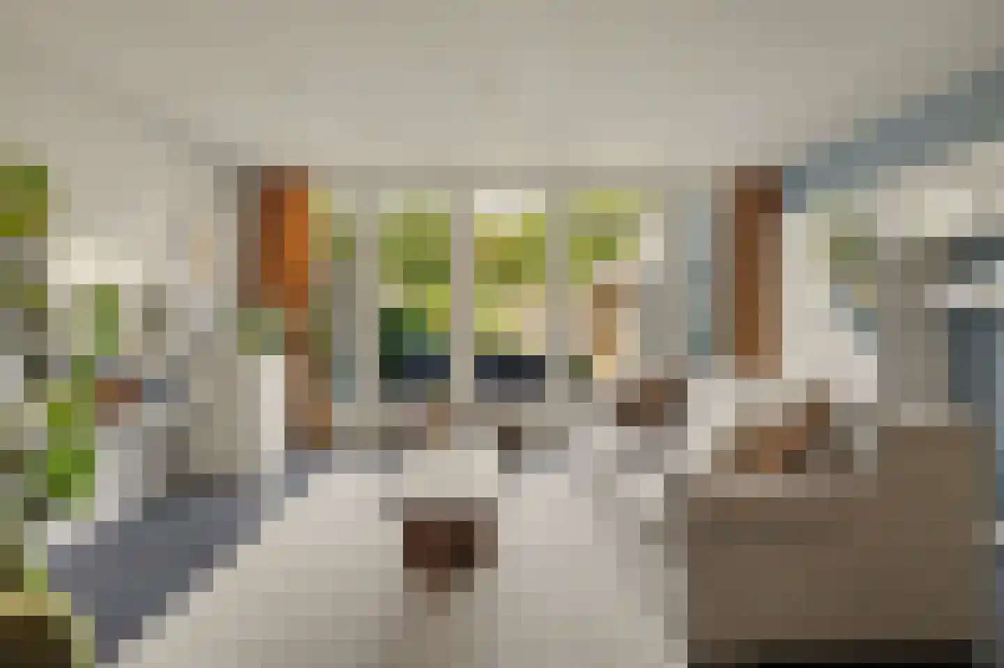 Vendelier 23 Bergeijk thumbnail 13