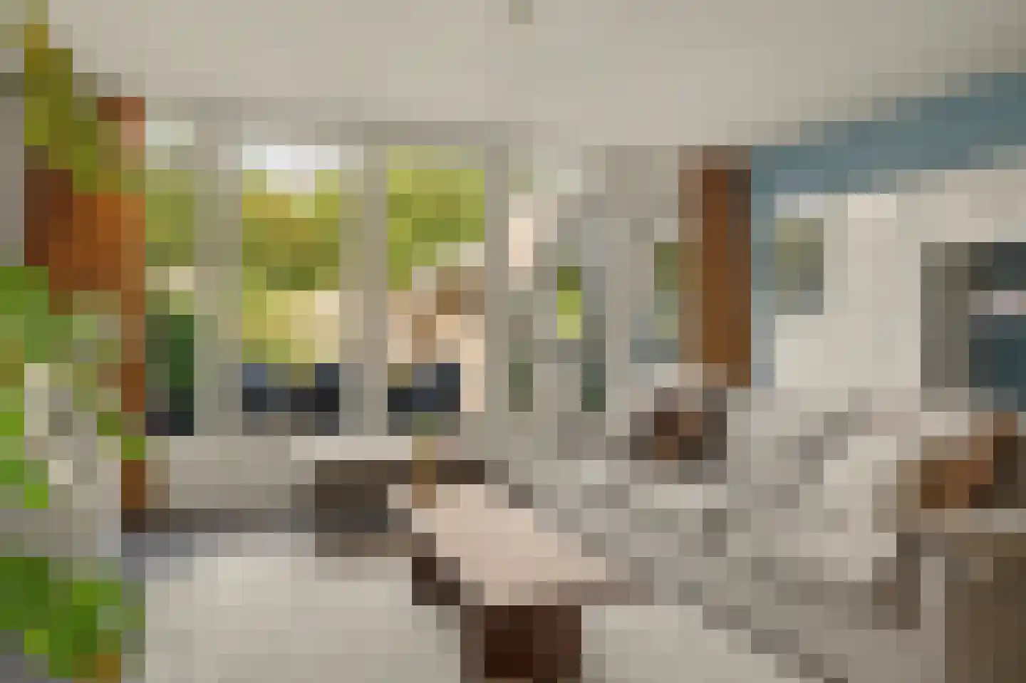 Vendelier 23 Bergeijk thumbnail 15