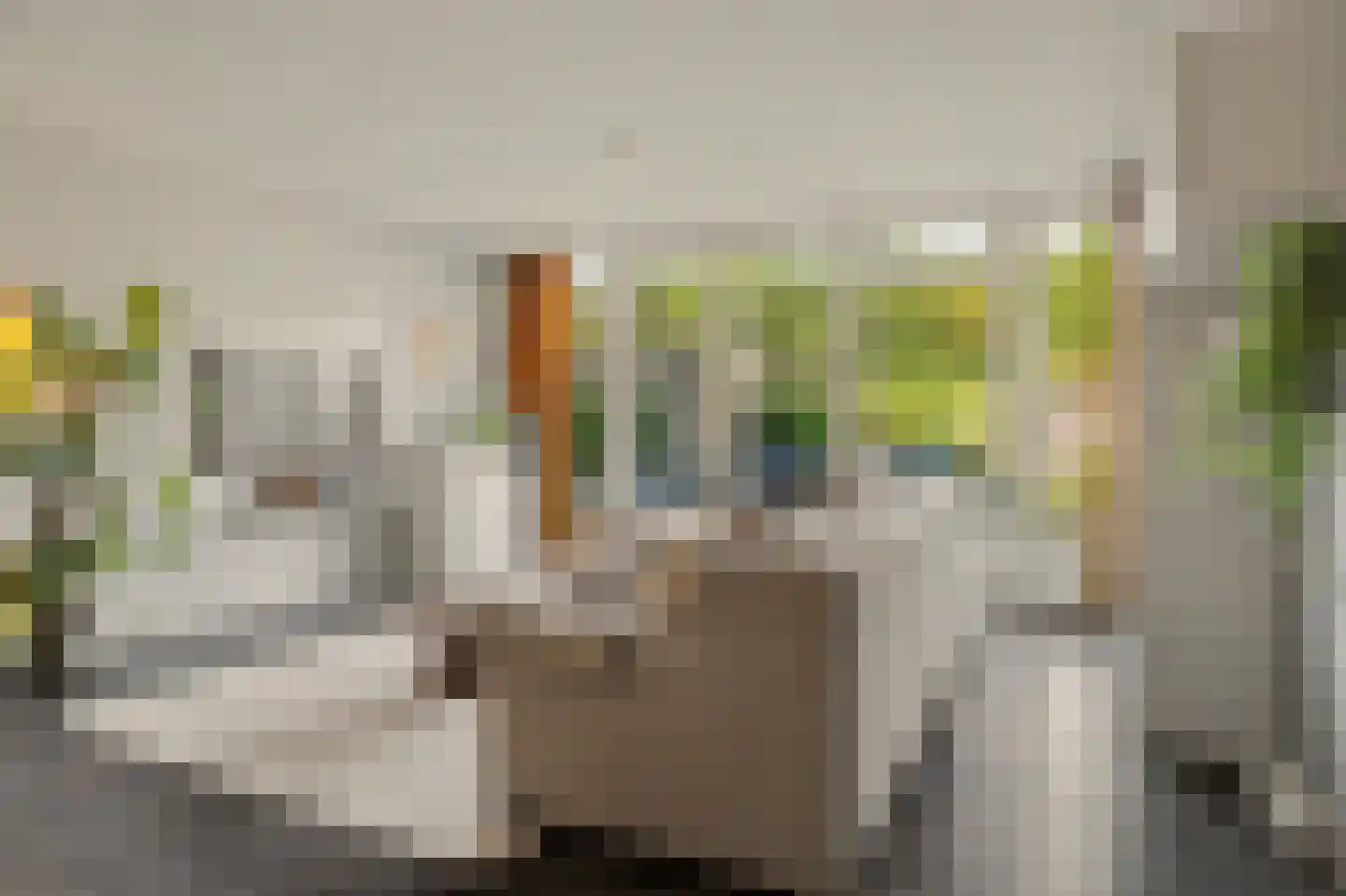 Vendelier 23 Bergeijk thumbnail 17