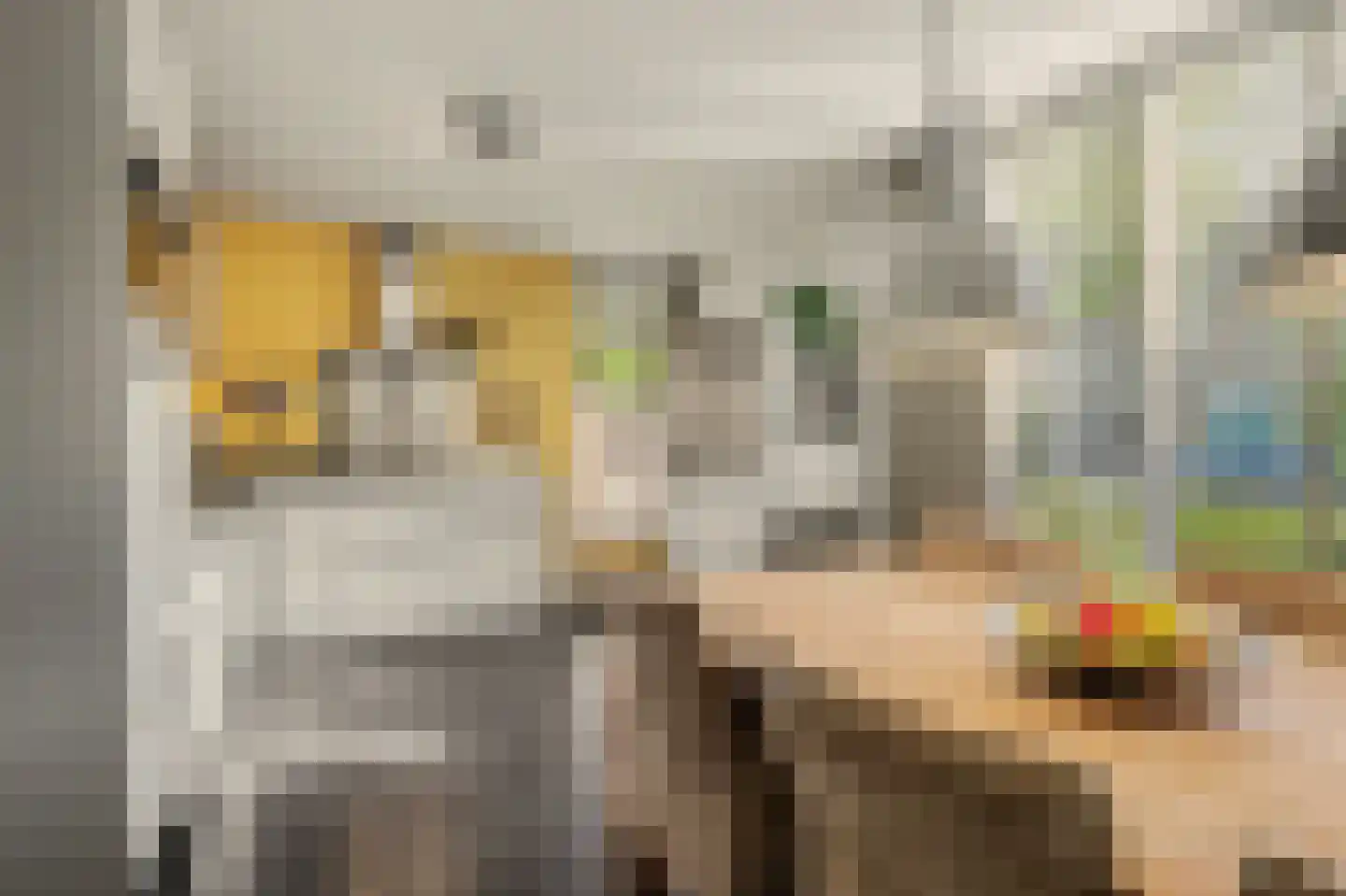 Vendelier 23 Bergeijk thumbnail 20