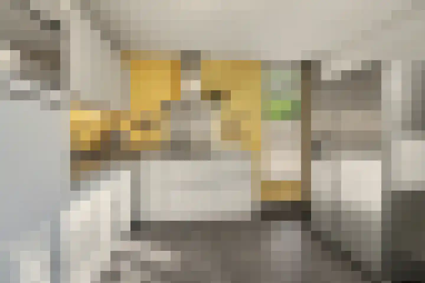 Vendelier 23 Bergeijk thumbnail 21