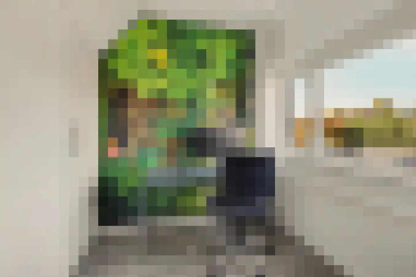 Vendelier 23 Bergeijk thumbnail 34