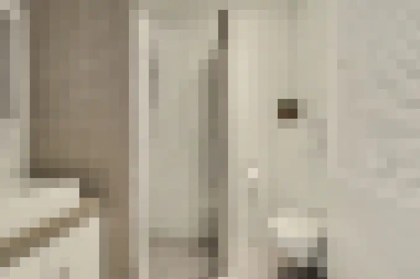 Vendelier 23 Bergeijk thumbnail 35