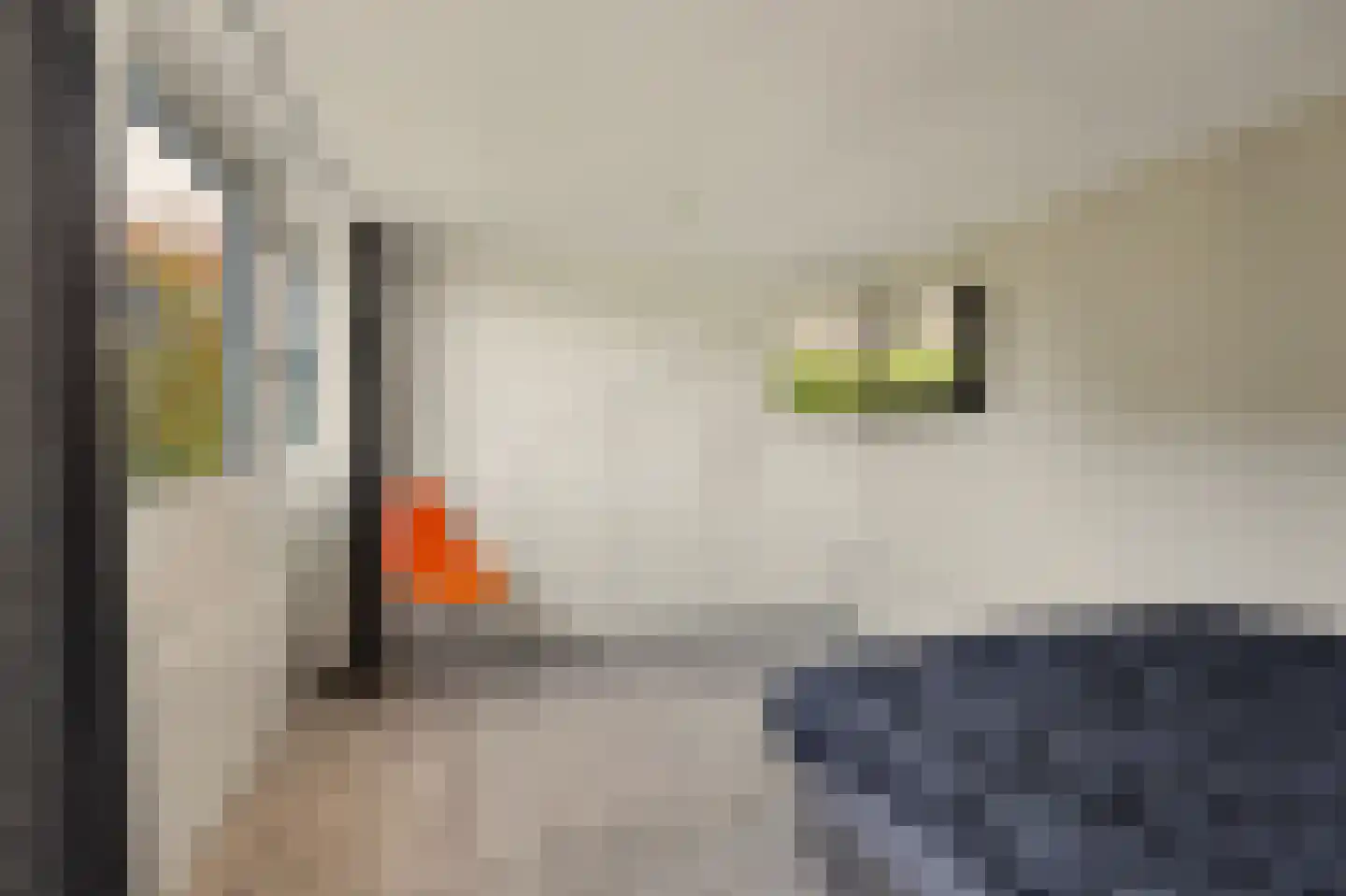 Vendelier 23 Bergeijk thumbnail 39