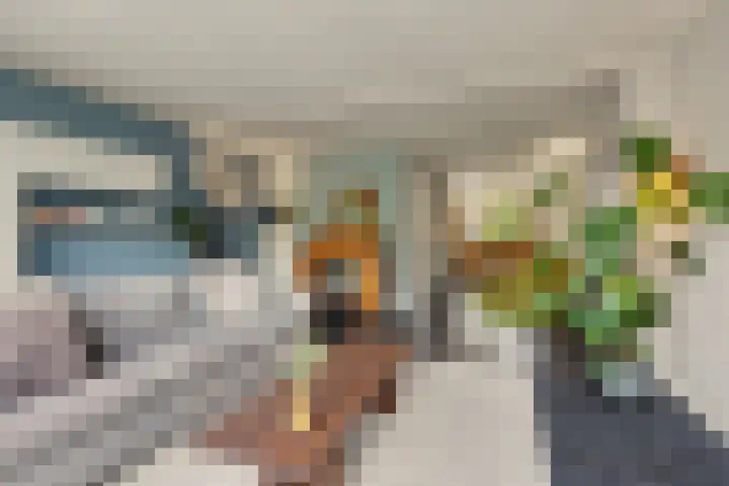 Vendelier 23 Bergeijk thumbnail 4