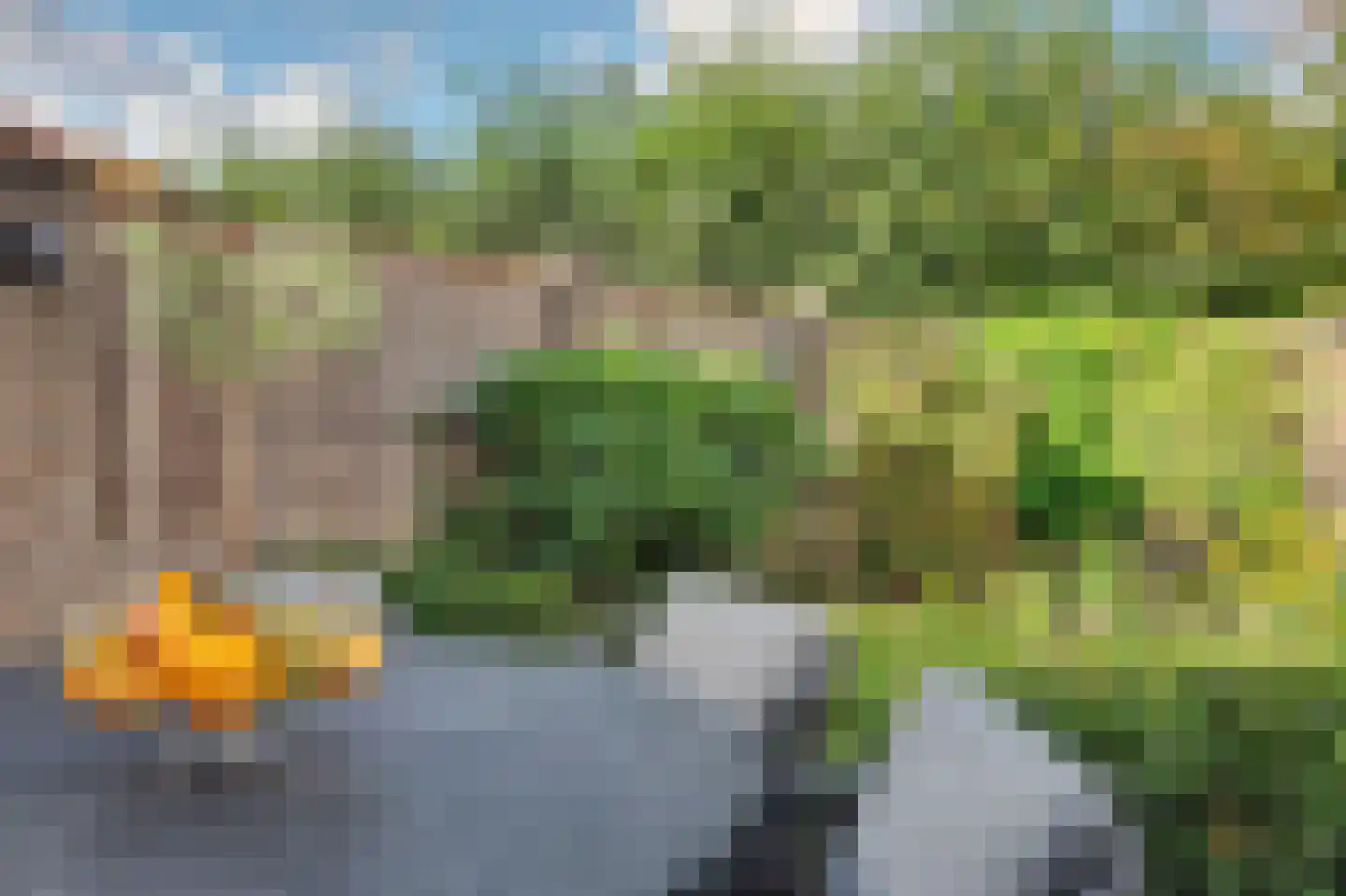 Vendelier 23 Bergeijk thumbnail 42