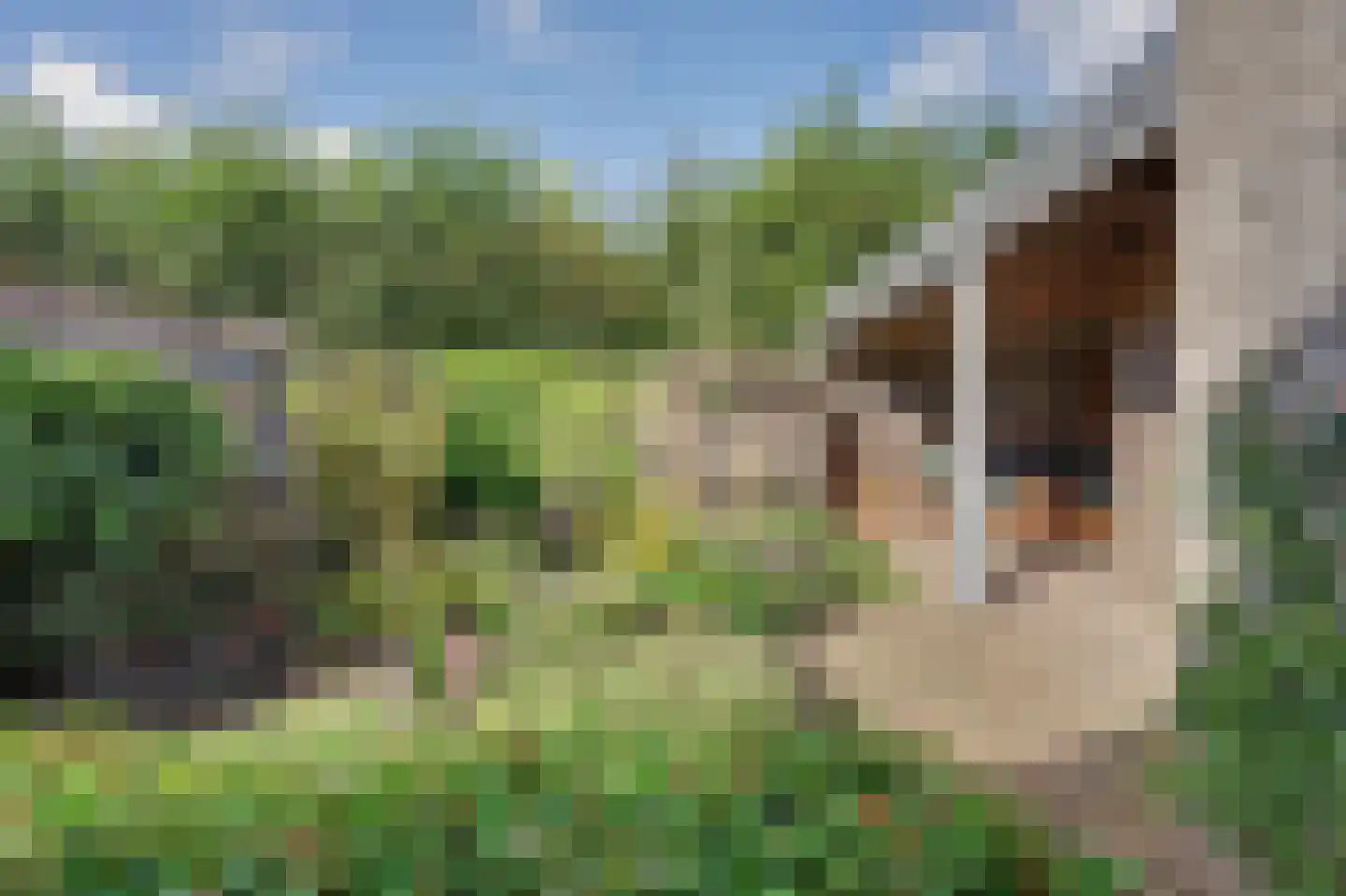 Vendelier 23 Bergeijk thumbnail 43