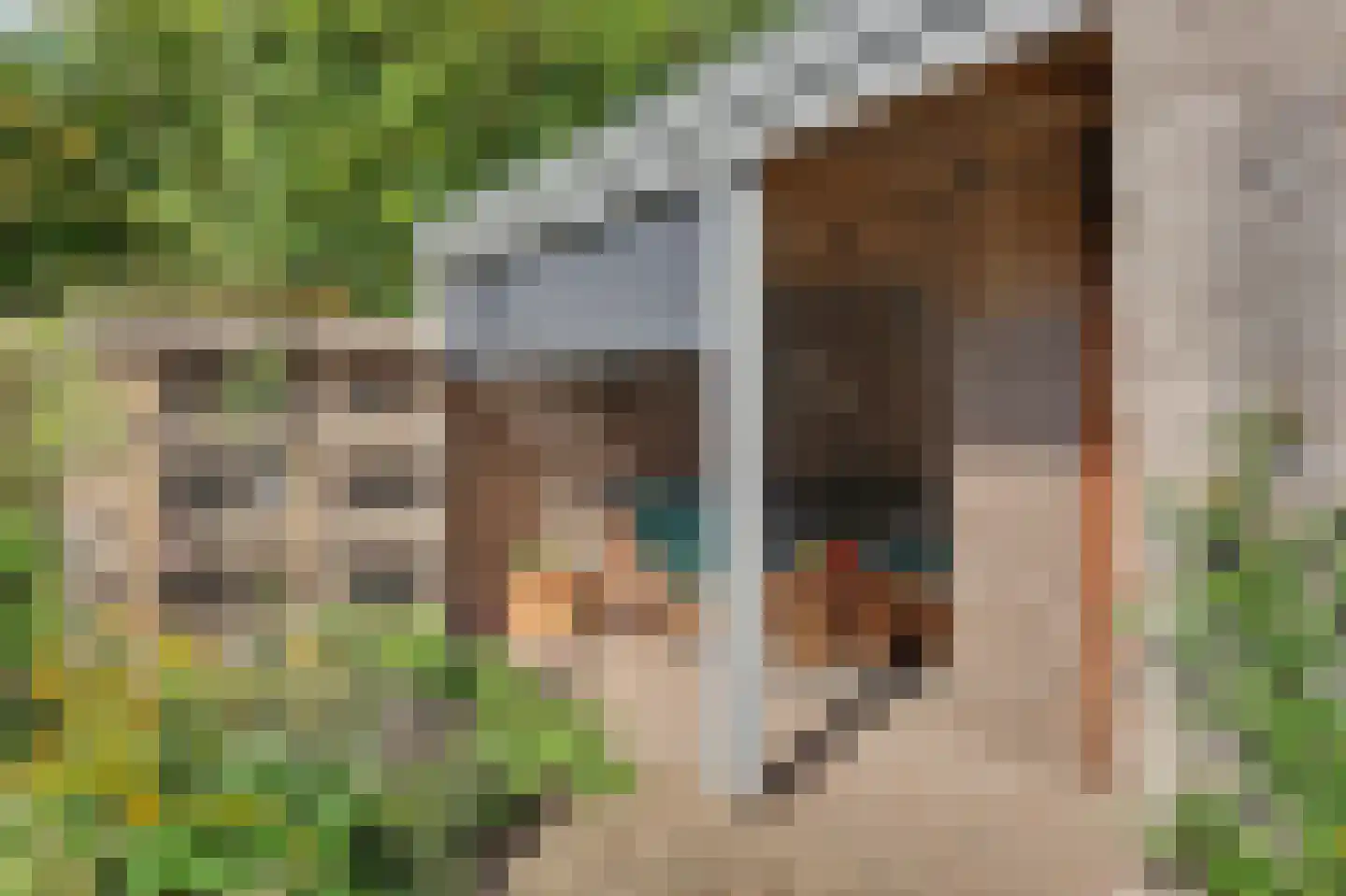 Vendelier 23 Bergeijk thumbnail 45