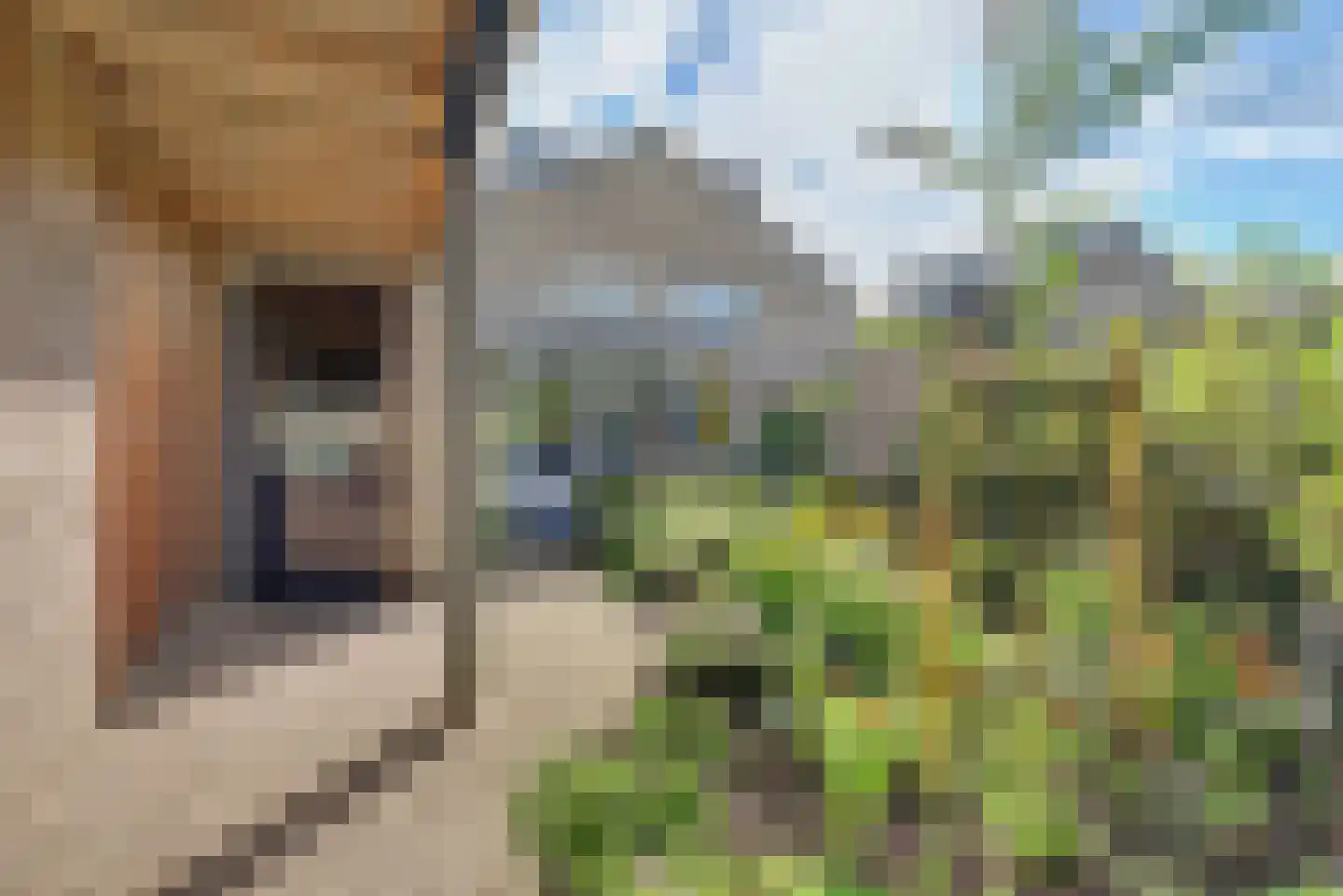 Vendelier 23 Bergeijk thumbnail 47