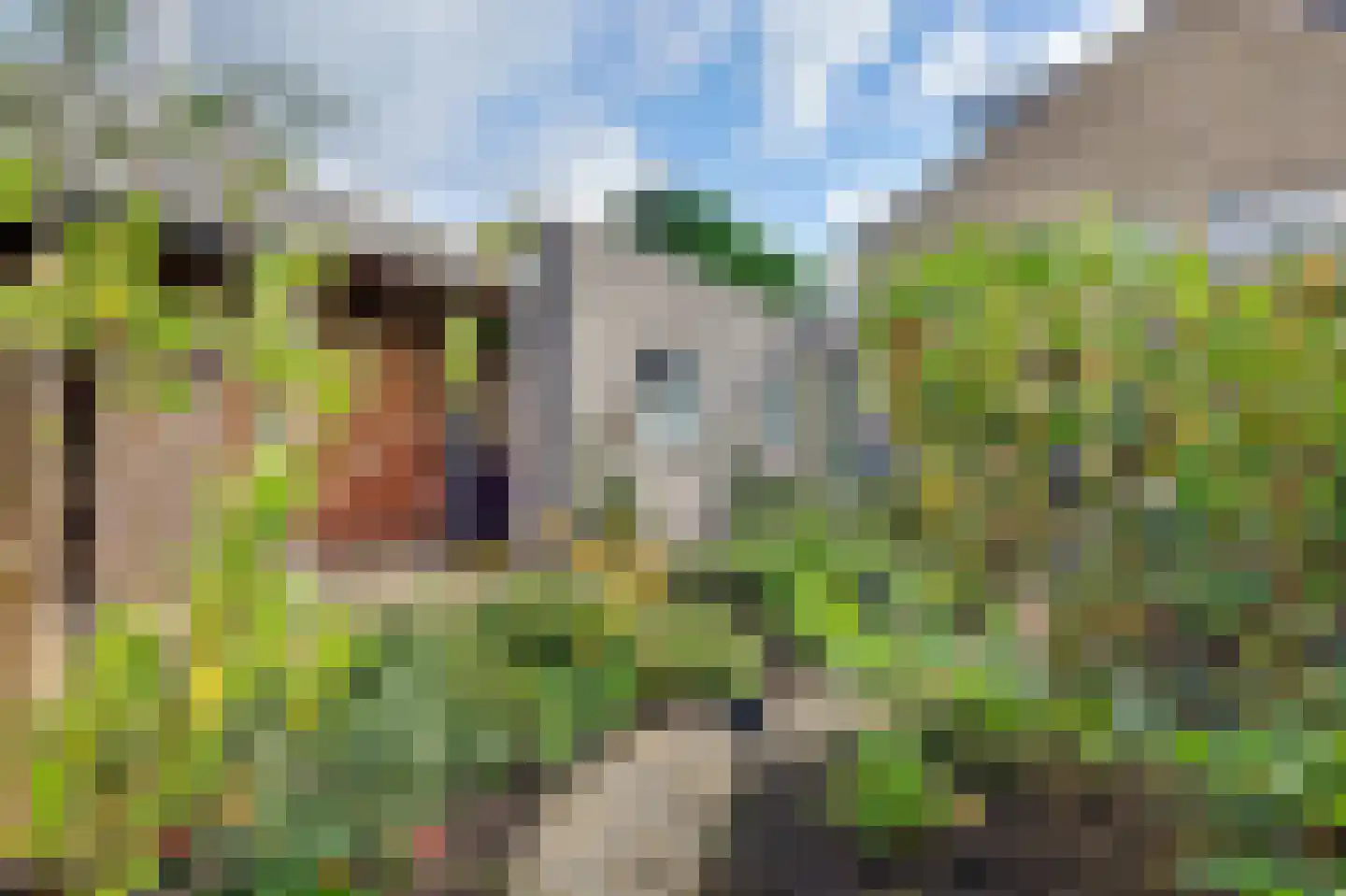 Vendelier 23 Bergeijk thumbnail 5