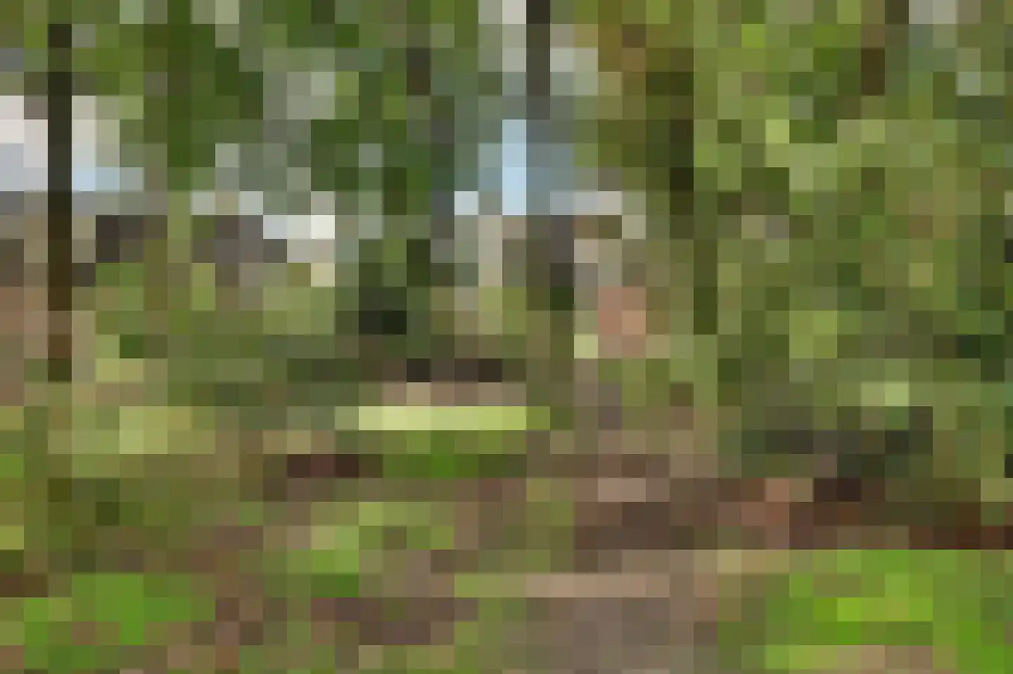 Vendelier 23 Bergeijk thumbnail 56