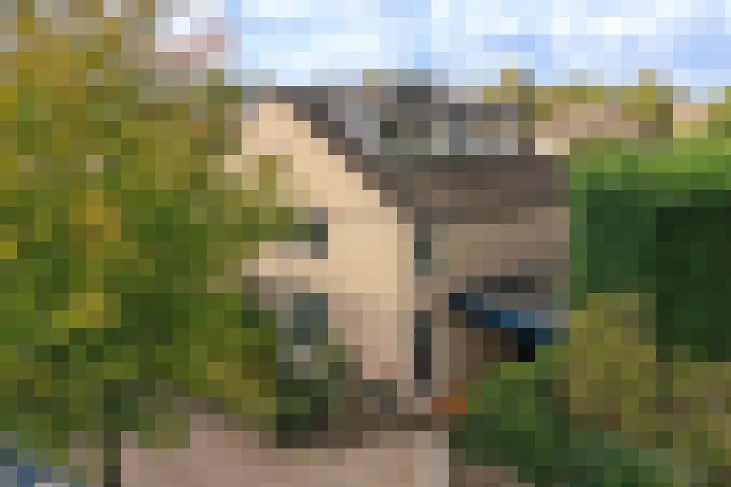 Vendelier 23 Bergeijk thumbnail 7