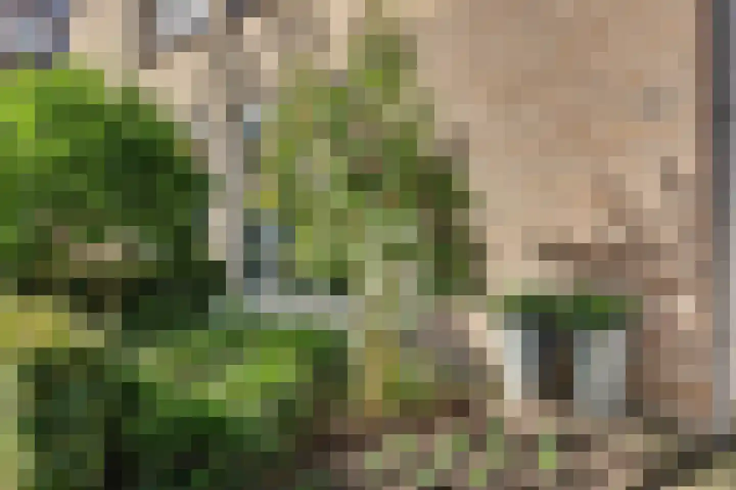 Vendelier 23 Bergeijk thumbnail 8