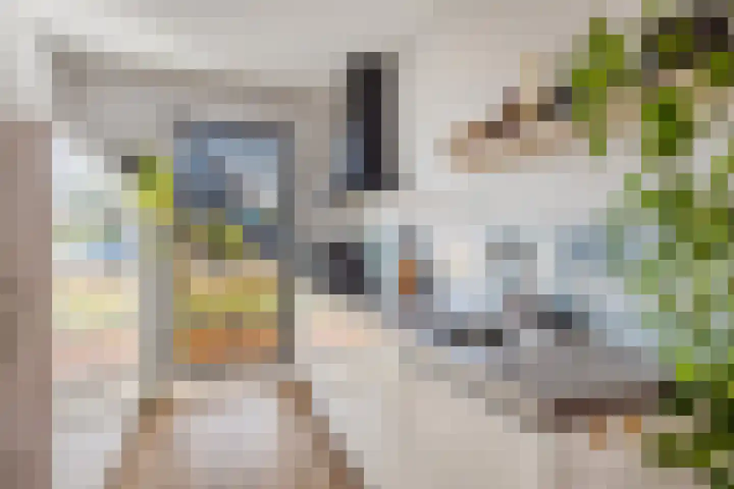 Vendelier 3 Lierop thumbnail 10