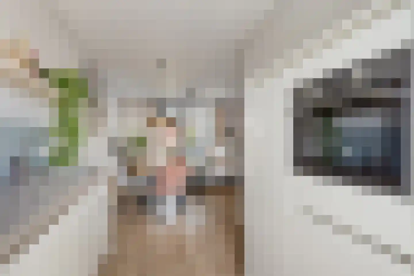 Vendelier 3 Lierop thumbnail 11