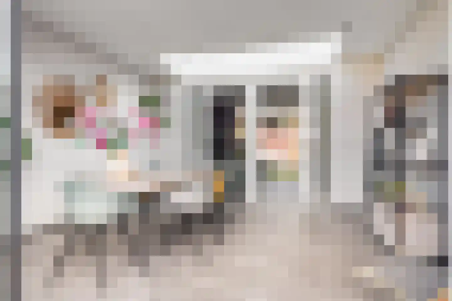 Vendelier 3 Lierop thumbnail 12
