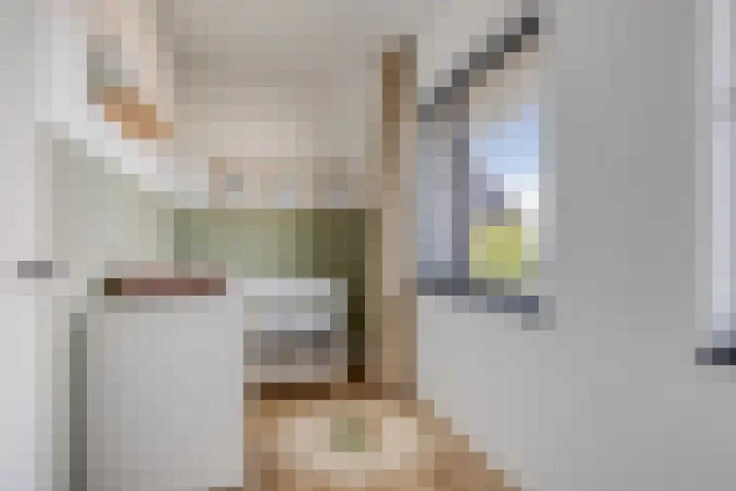 Vendelier 3 Lierop thumbnail 18