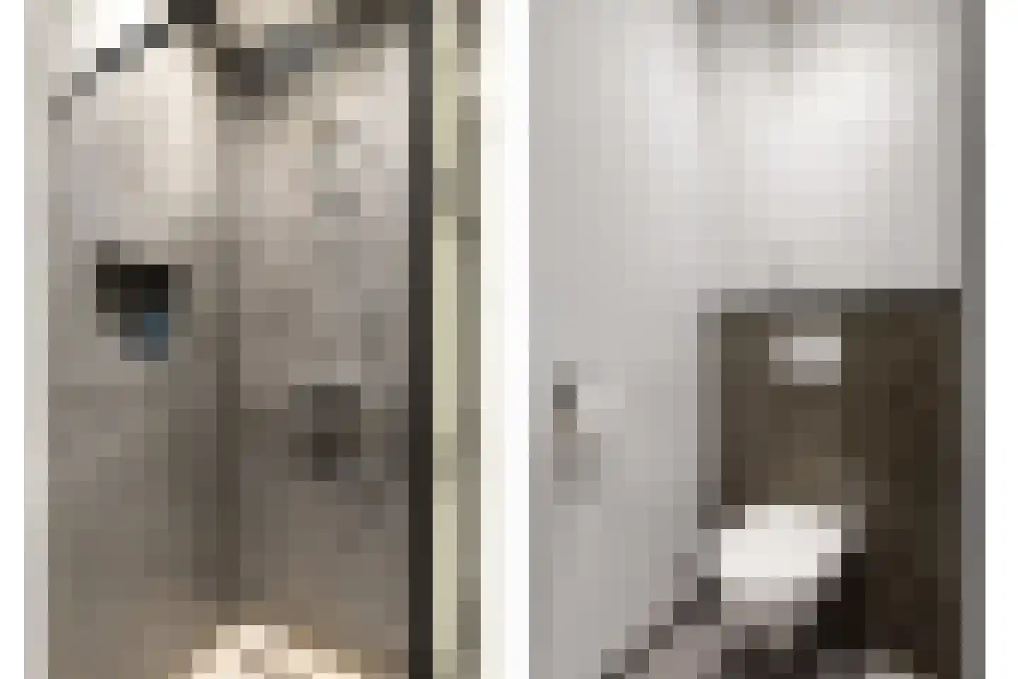 Vendelier 3 Lierop thumbnail 21