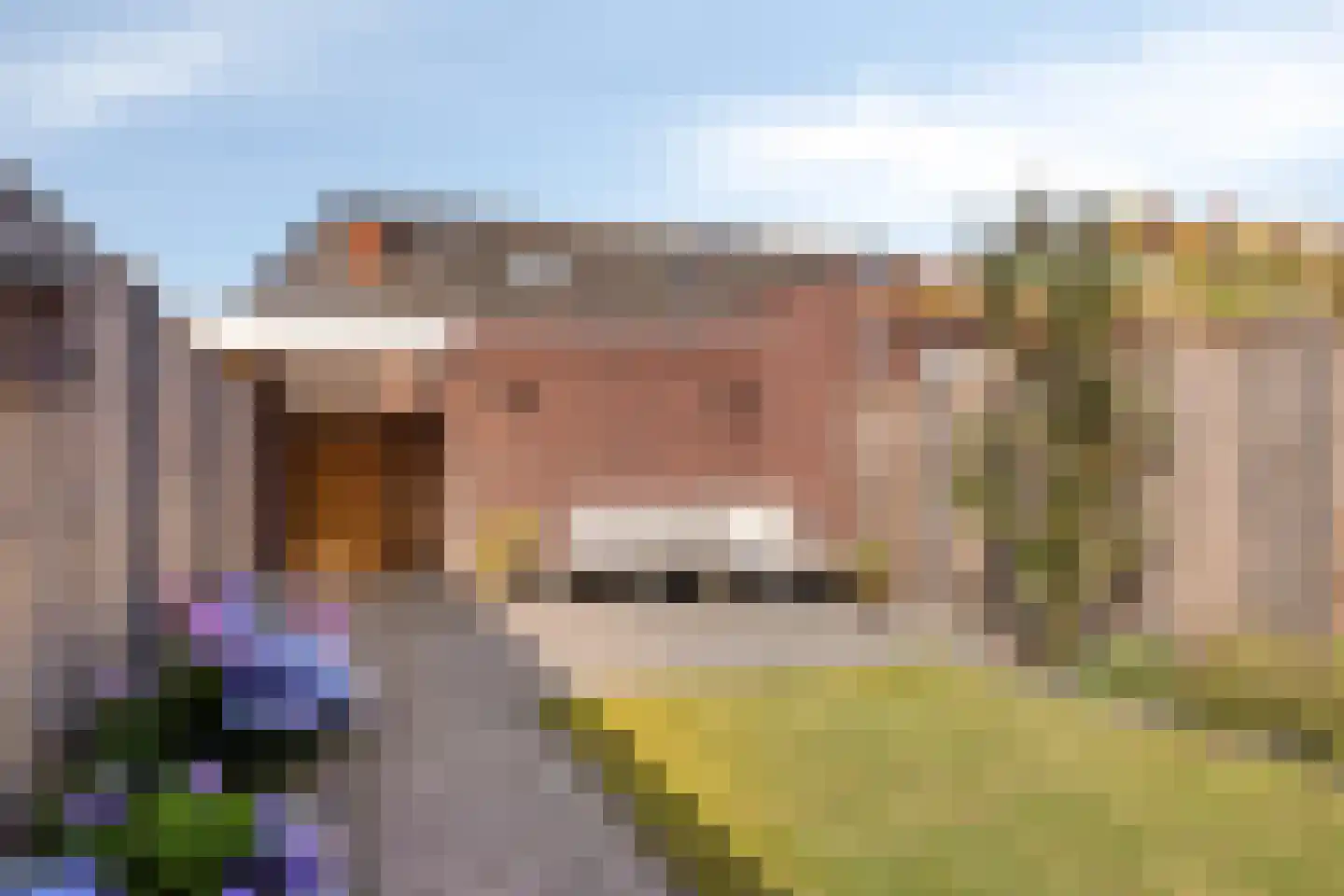 Vendelier 3 Lierop thumbnail 25