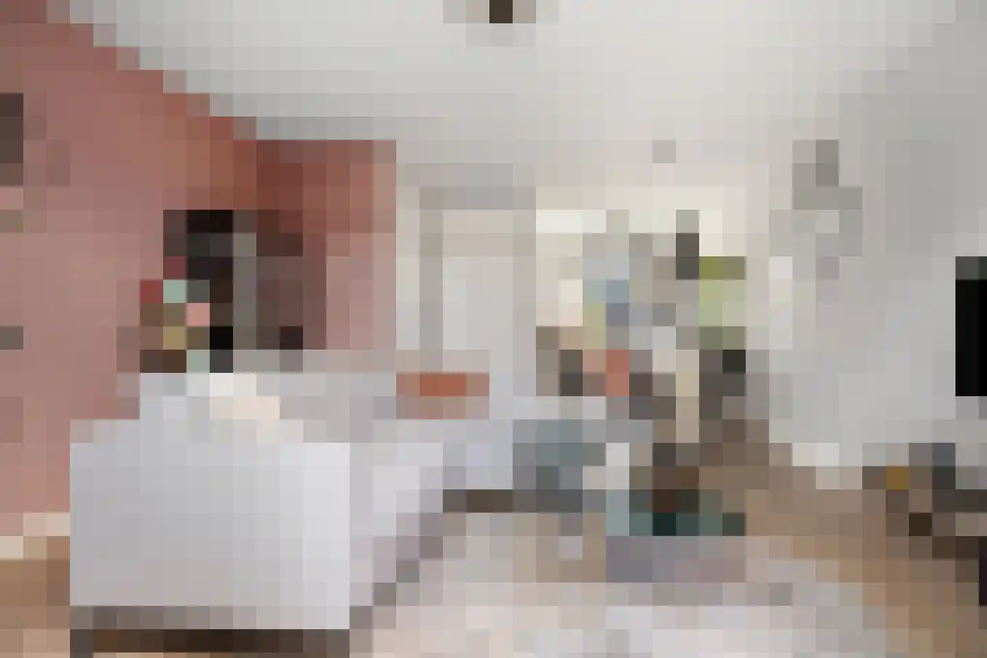 Vendelier 3 Lierop thumbnail 7