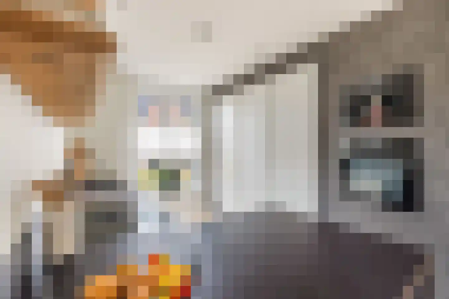 Vendelier 33 Renswoude thumbnail 16