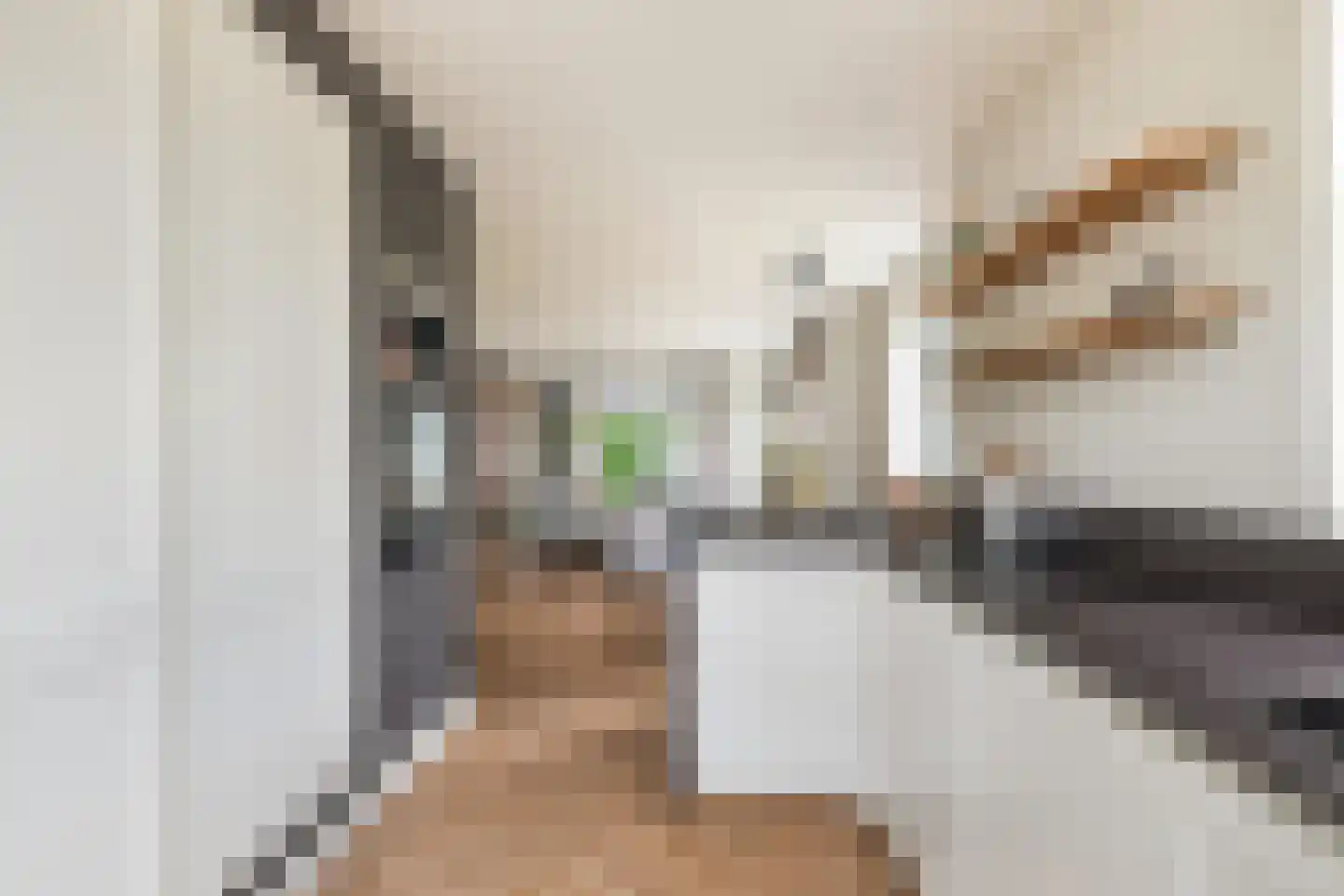 Vendelier 33 Renswoude thumbnail 17