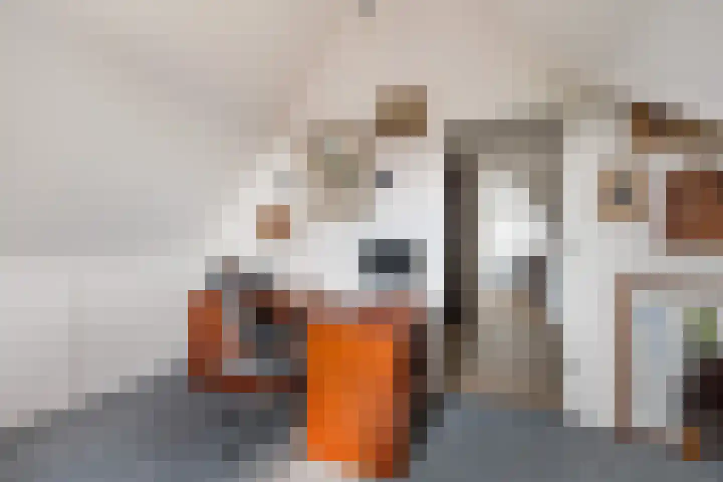 Vendelier 33 Renswoude thumbnail 35
