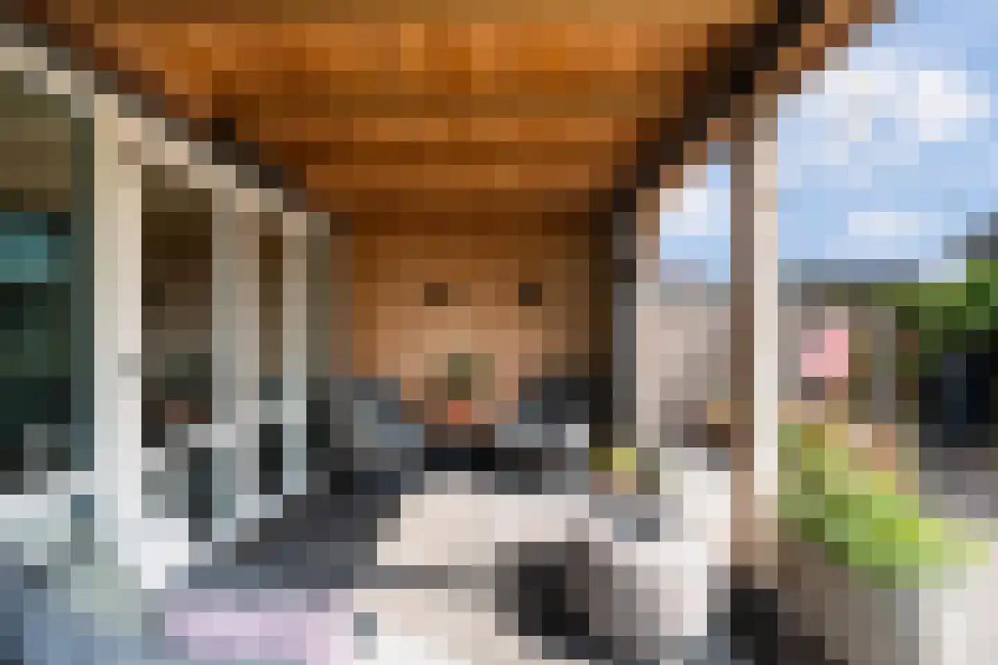 Vendelier 33 Renswoude thumbnail 38