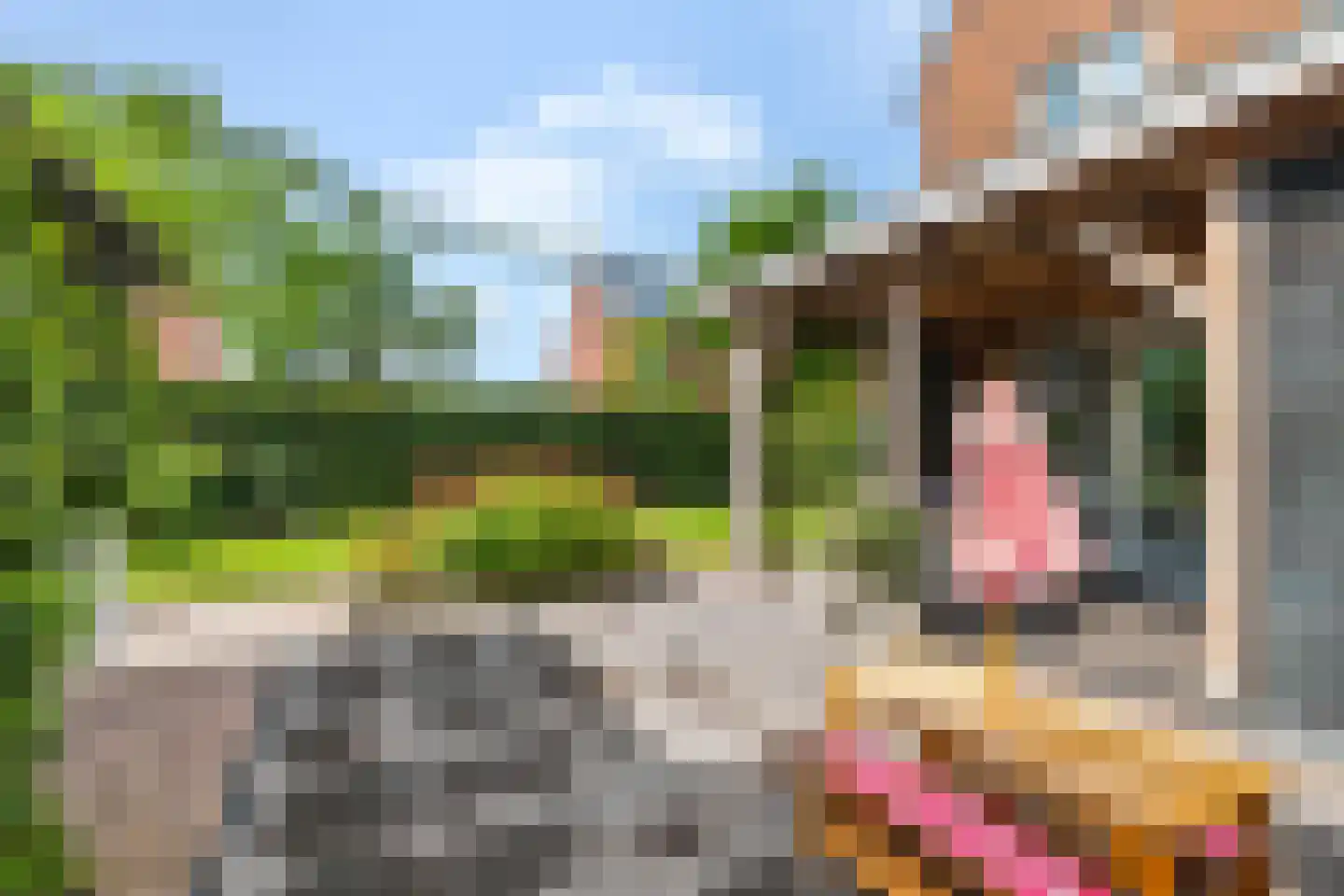 Vendelier 33 Renswoude thumbnail 39