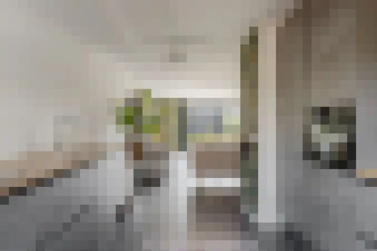Vendelier 43 Heelsum thumbnail 12