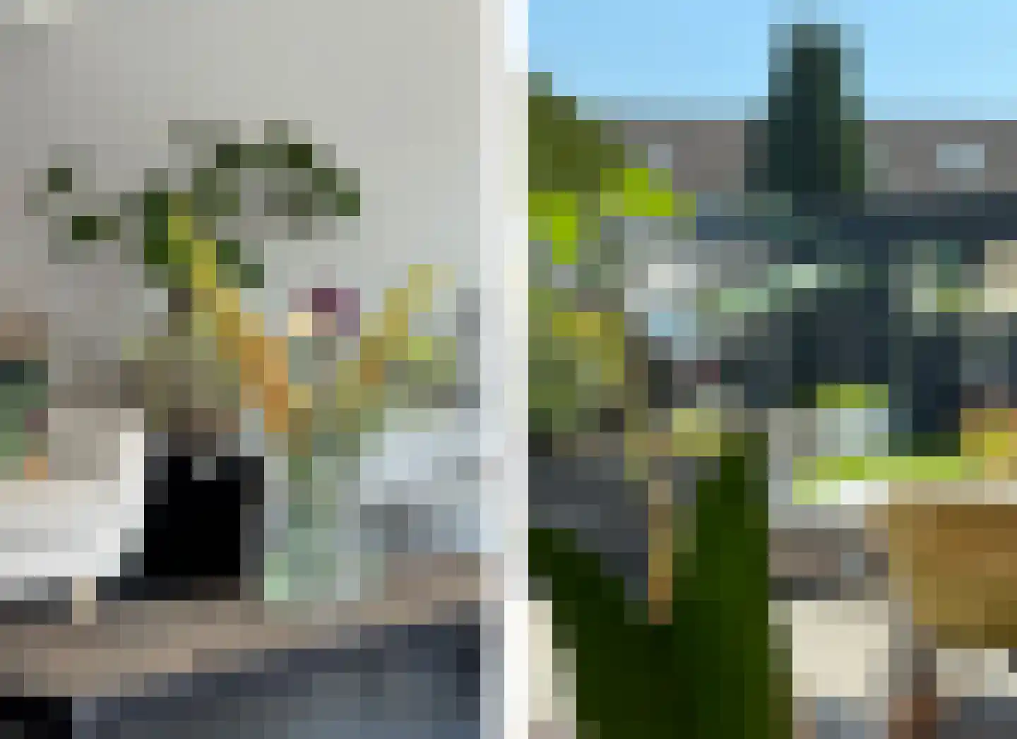 Vendelier 43 Heelsum thumbnail 14