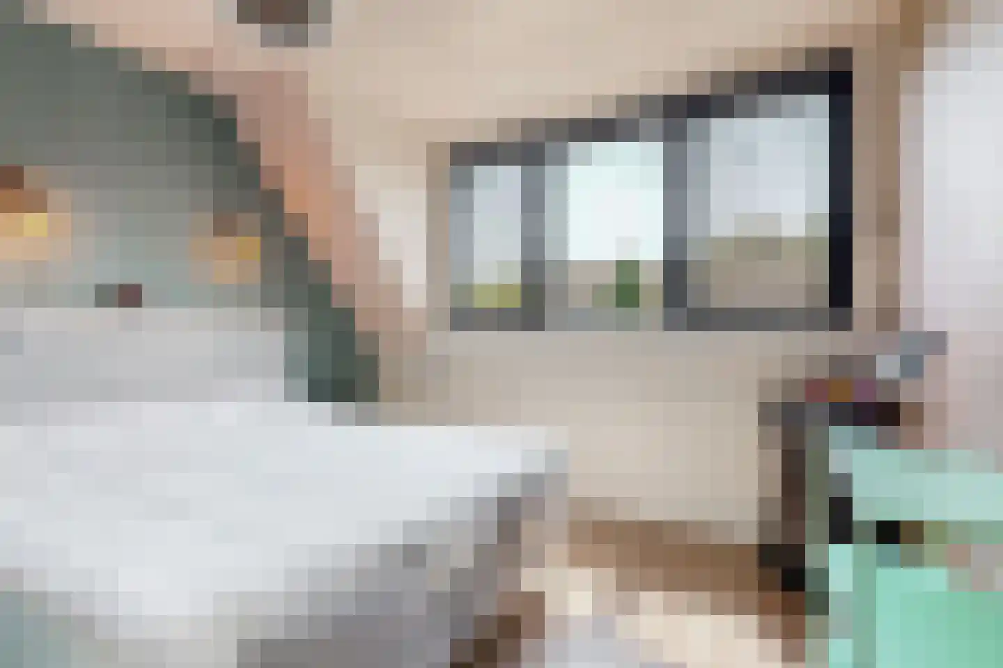 Vendelier 43 Heelsum thumbnail 17