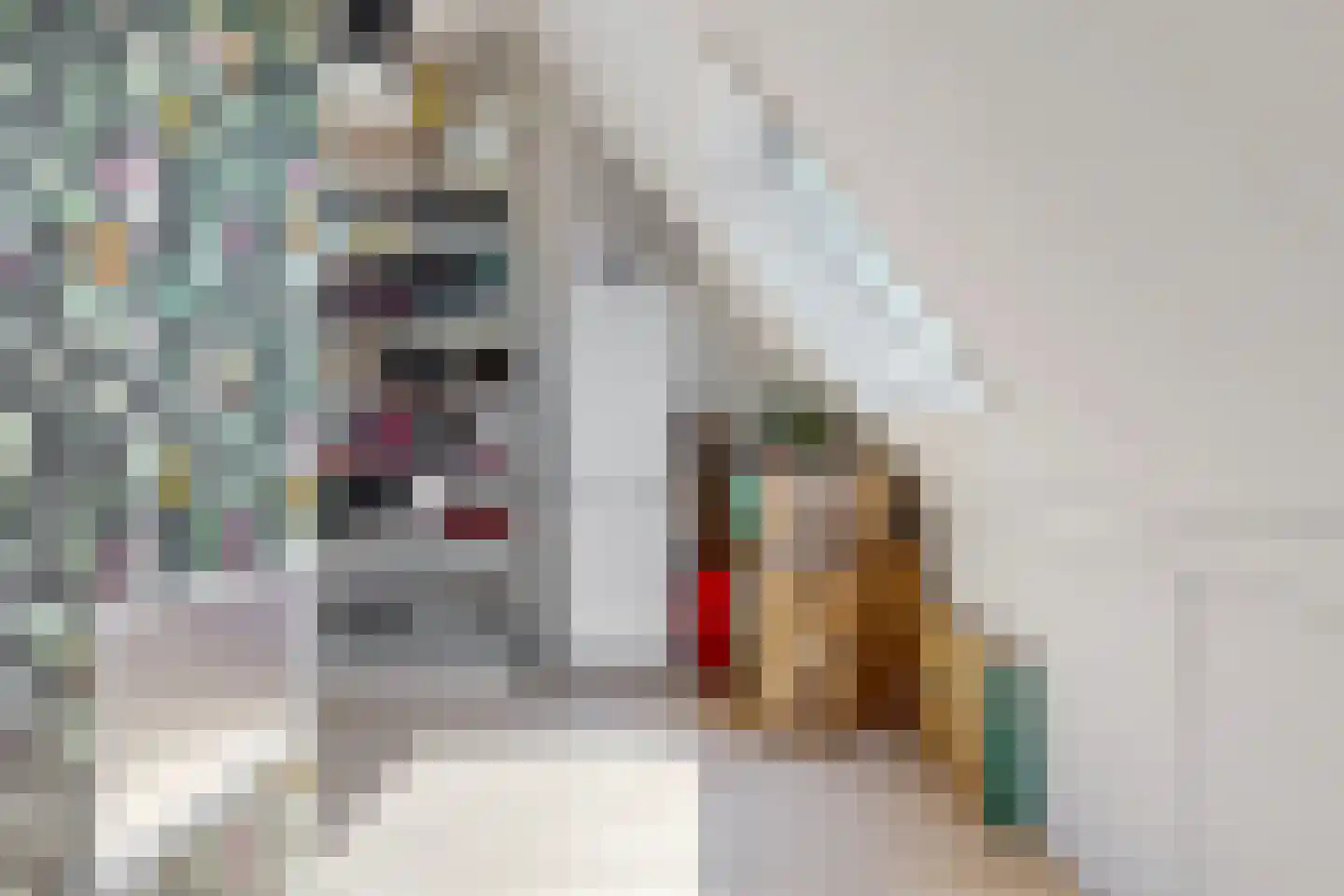 Vendelier 43 Heelsum thumbnail 27