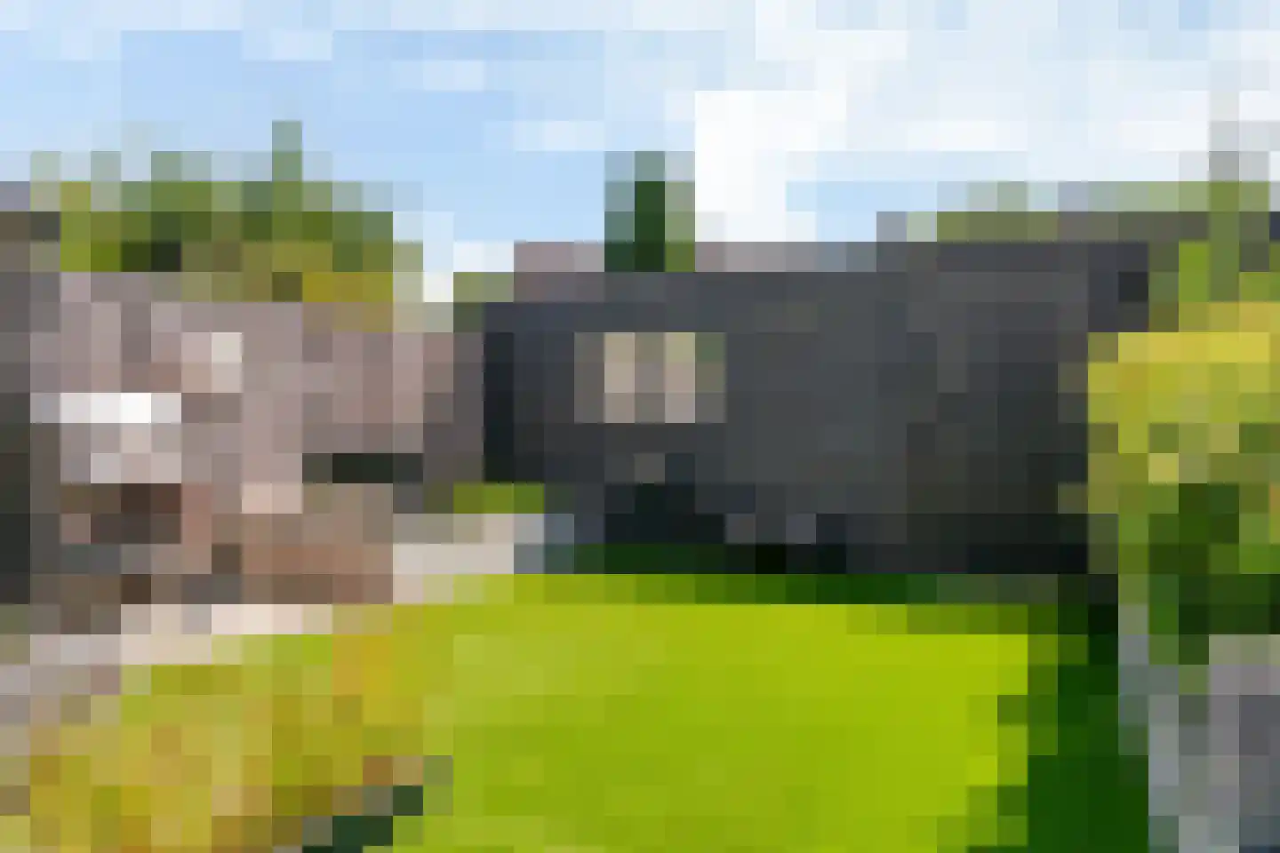 Vendelier 43 Heelsum thumbnail 33