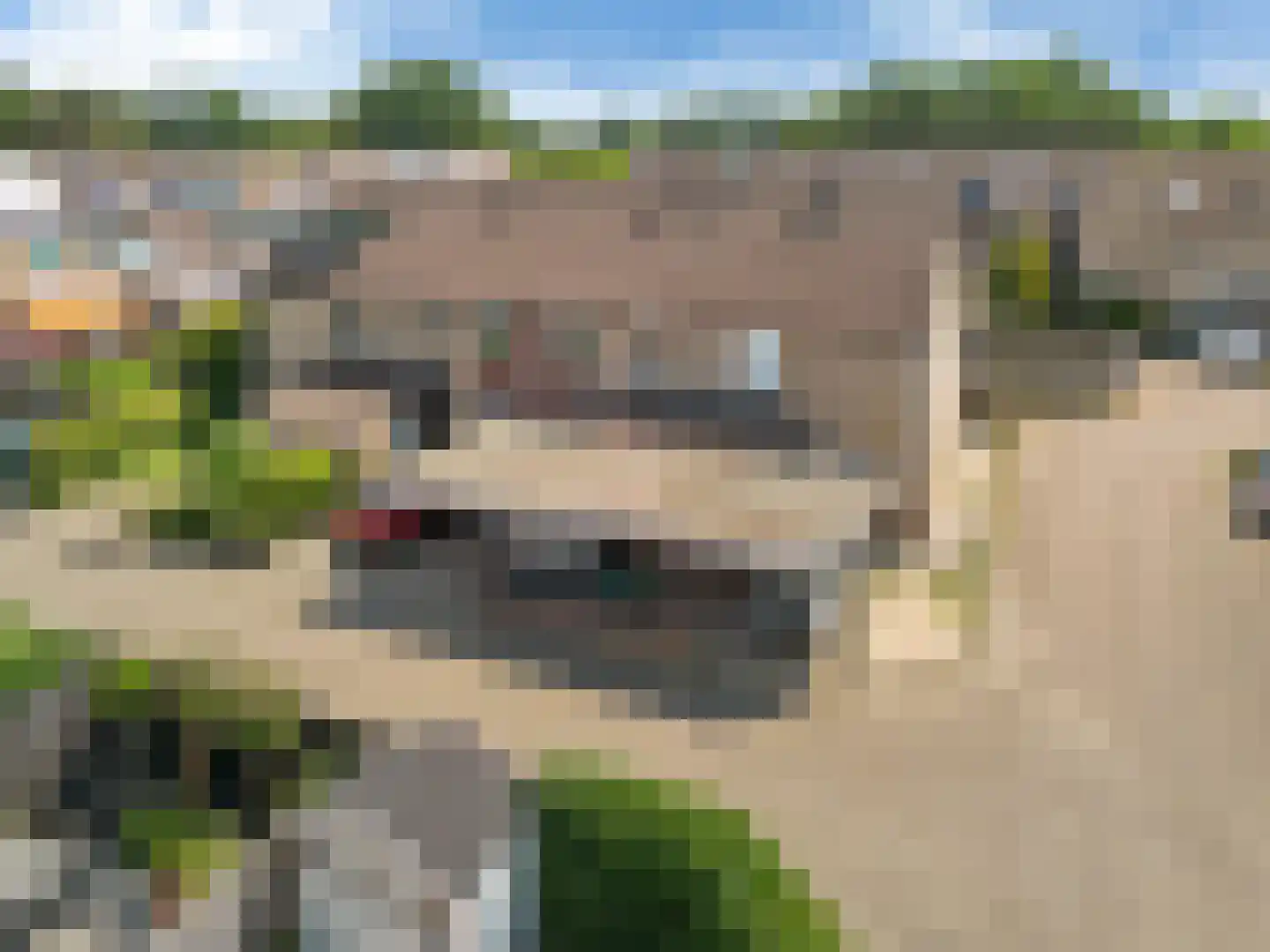 Vendelier 43 Heelsum thumbnail 43