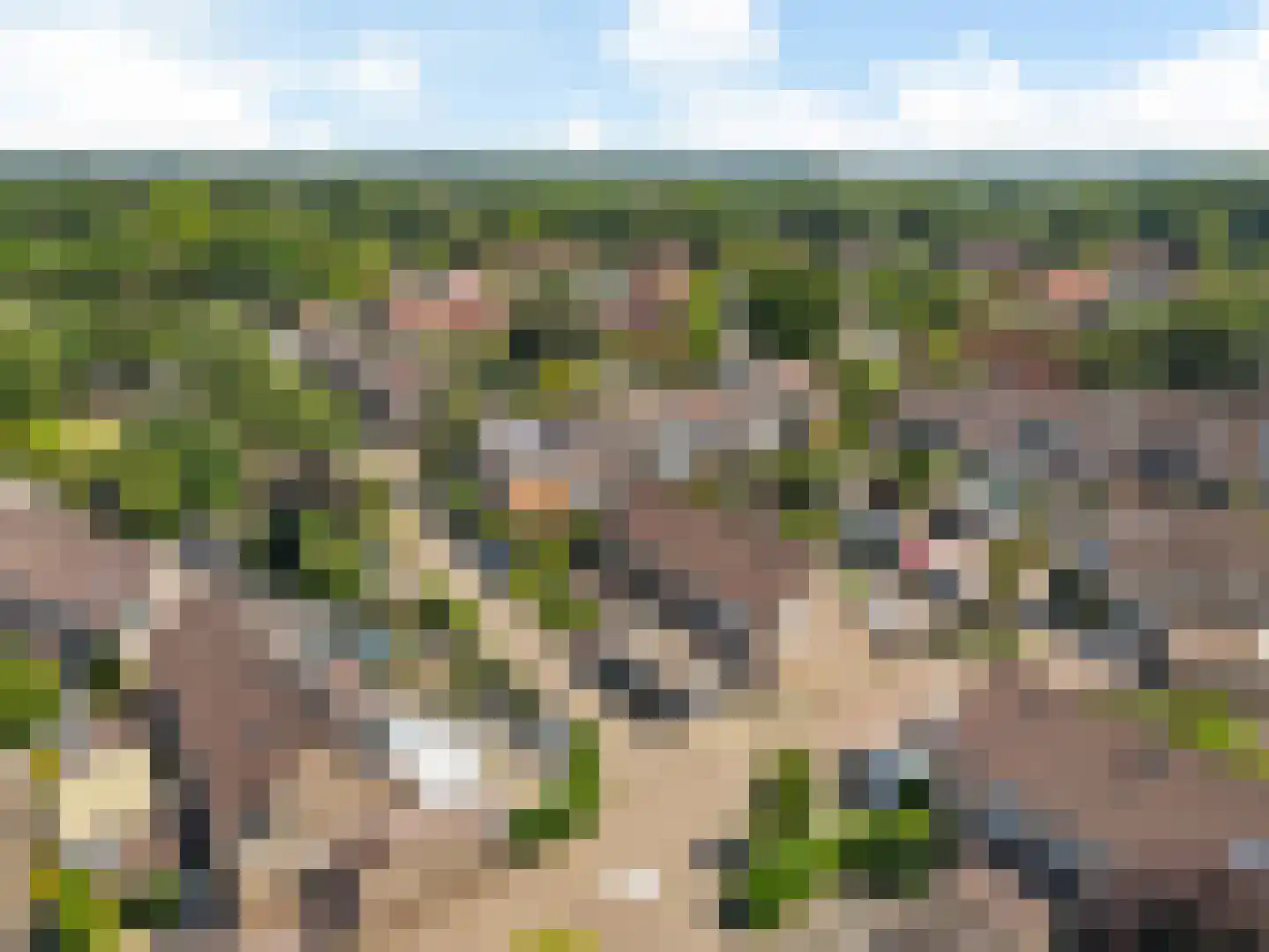 Vendelier 43 Heelsum thumbnail 45