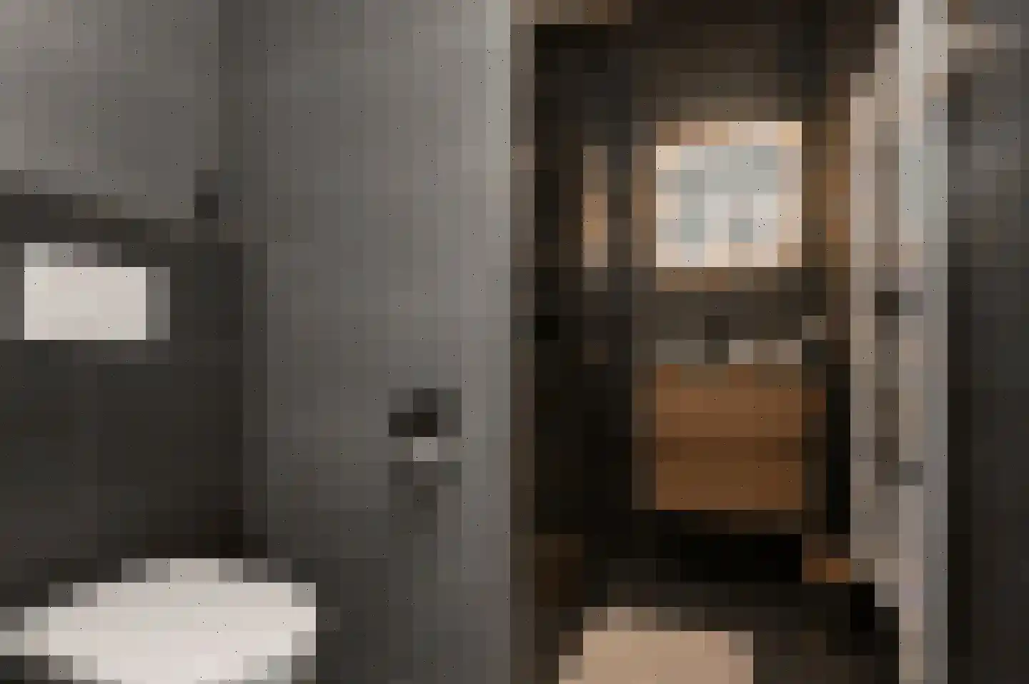 Vendelier 7 Lierop thumbnail 13