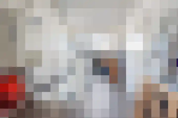 Vendeliers 14 Ulft thumbnail 29