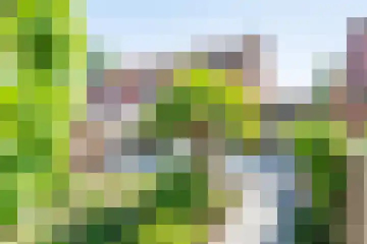 Vendeliers 14 Ulft thumbnail 37