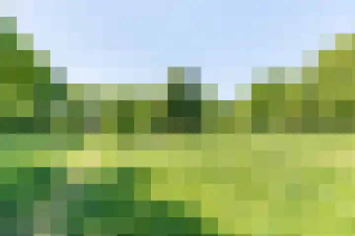 Vendeliers 14 Ulft thumbnail 40