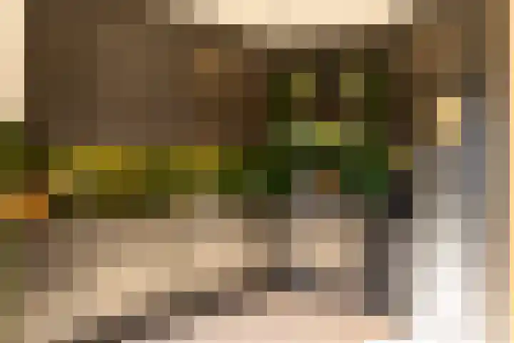 Vendeliers 42 Ulft thumbnail 15