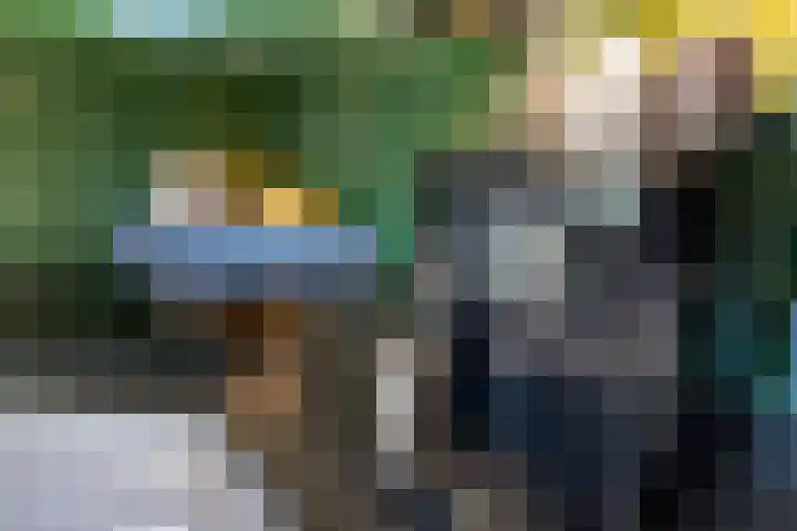 Vendeliers 42 Ulft thumbnail 17