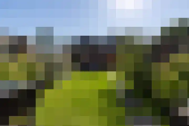 Vendeliers 42 Ulft thumbnail 19