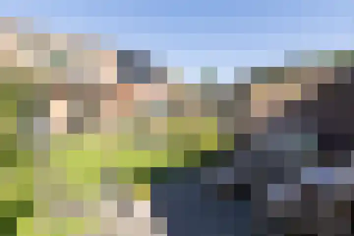 Vendeliers 42 Ulft thumbnail 20