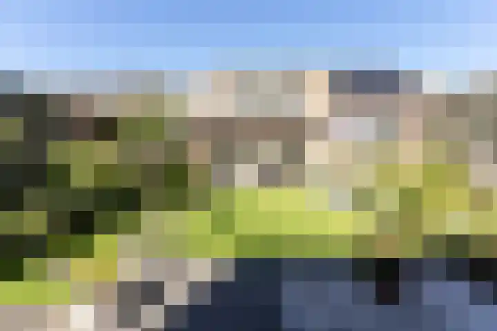 Vendeliers 42 Ulft thumbnail 21