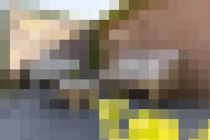 Vendeliers 42 Ulft thumbnail 22