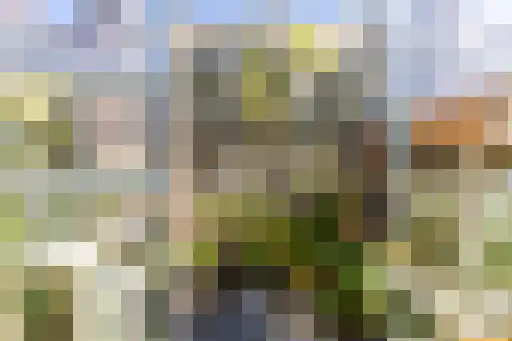 Vendeliers 42 Ulft thumbnail 23
