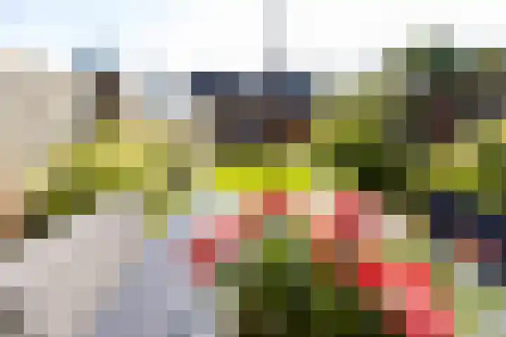 Vendeliers 42 Ulft thumbnail 24