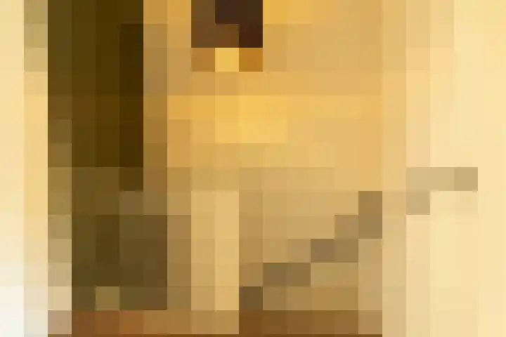 Vendeliers 42 Ulft thumbnail 28